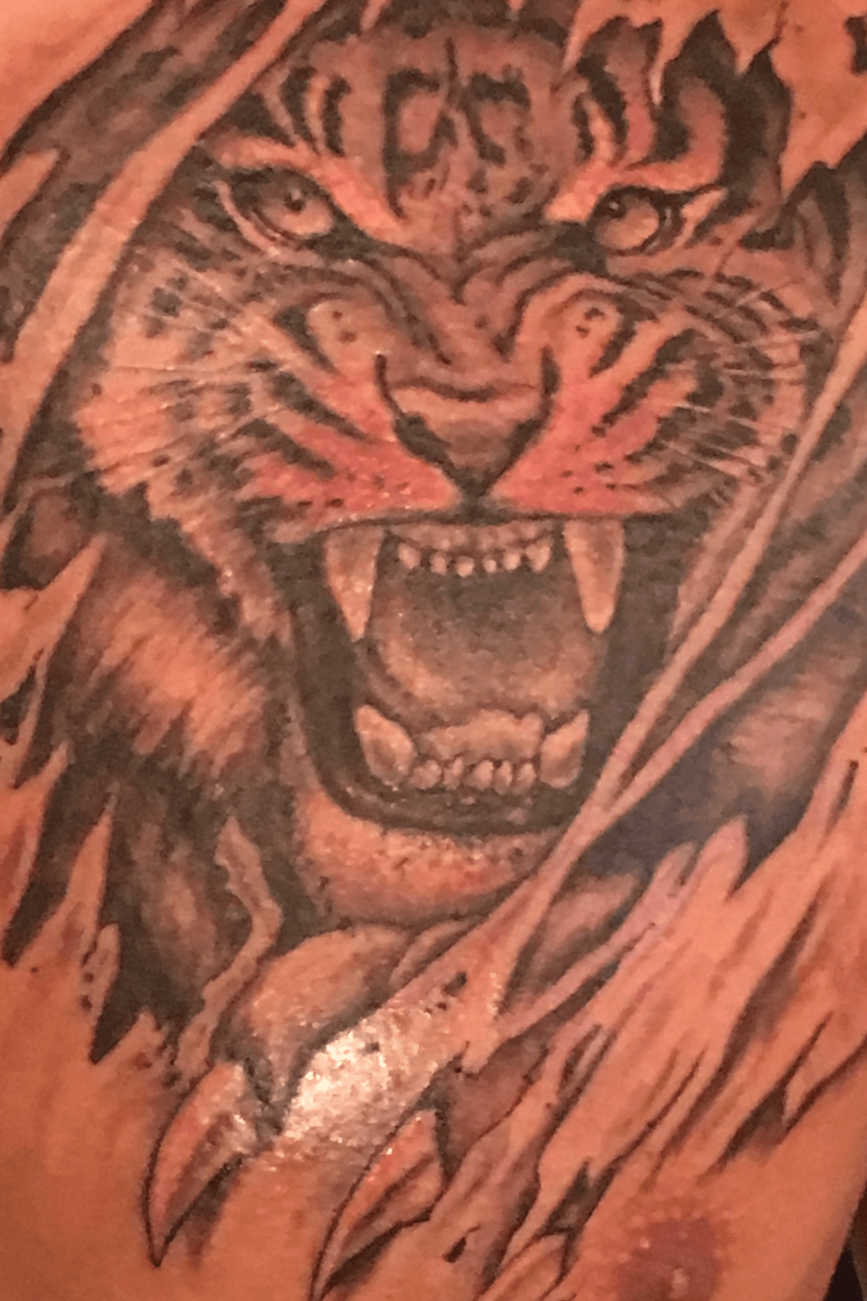 Tattoo uploaded by Chris Nguyen • Tiger Ripping Through My Chest • Tattoodo