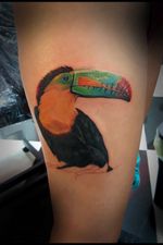 @westend.tattoo_wien #wientattoo #tattoovienna #realismtattoo #realistictattoo #birdtattoo #colourtattoo #thightattoo