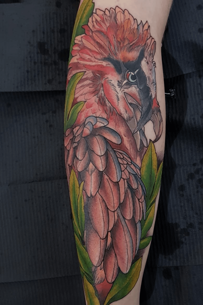 Bearded vulture w bones done by Ao Matsuda from White Raven Tattoo in  Westerville OH  Raven tattoo Tattoos Bearded vulture
