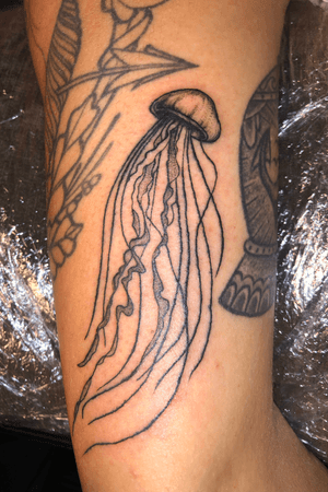 Jelly fish black and gray with whip shading 