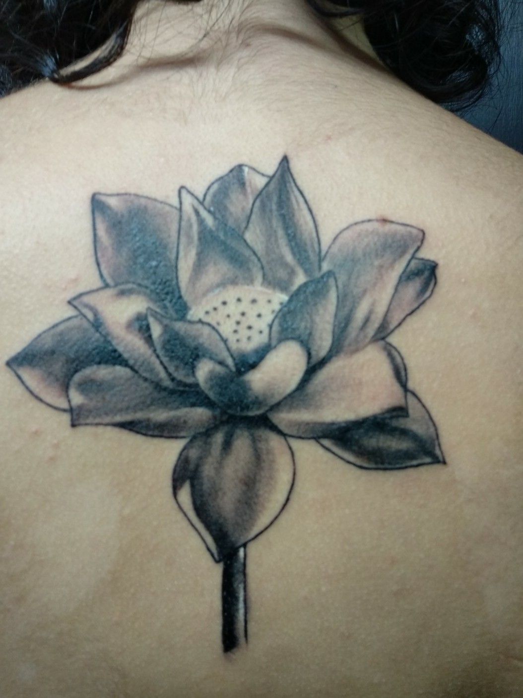 Tattoo Uploaded By Billyone Tattoo Lotus Flower Tattoodo