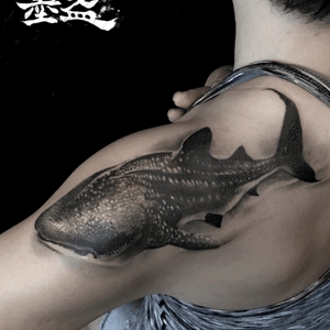 黑灰写实Black&Gray/Realism鲸鲨