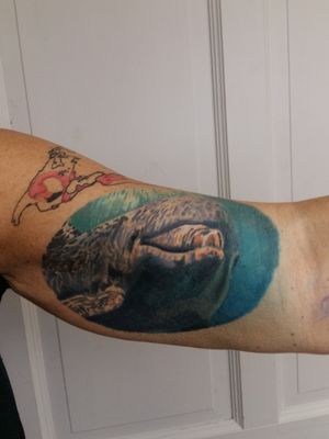 #realistictattoo #realism #realistic #colortattoo #colorful #dolphin #dolphintattoo 