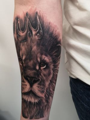 King of the Jungle 🦁Black and Grey realism Lion 