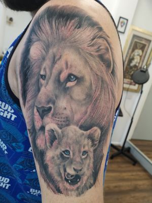 Part fresh part healed lion and cub piece 🦁