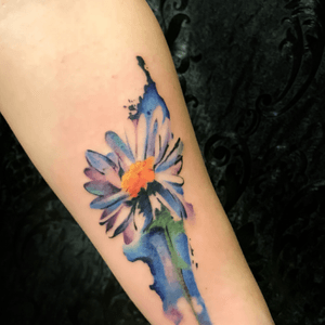 水彩Watercolor雏菊