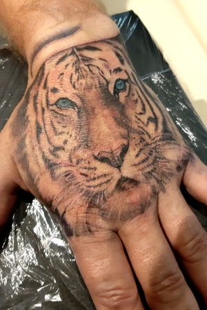 Tiger on hand
