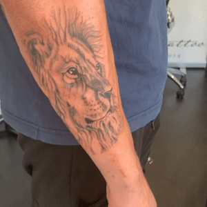 Black and grey lion on forearm done