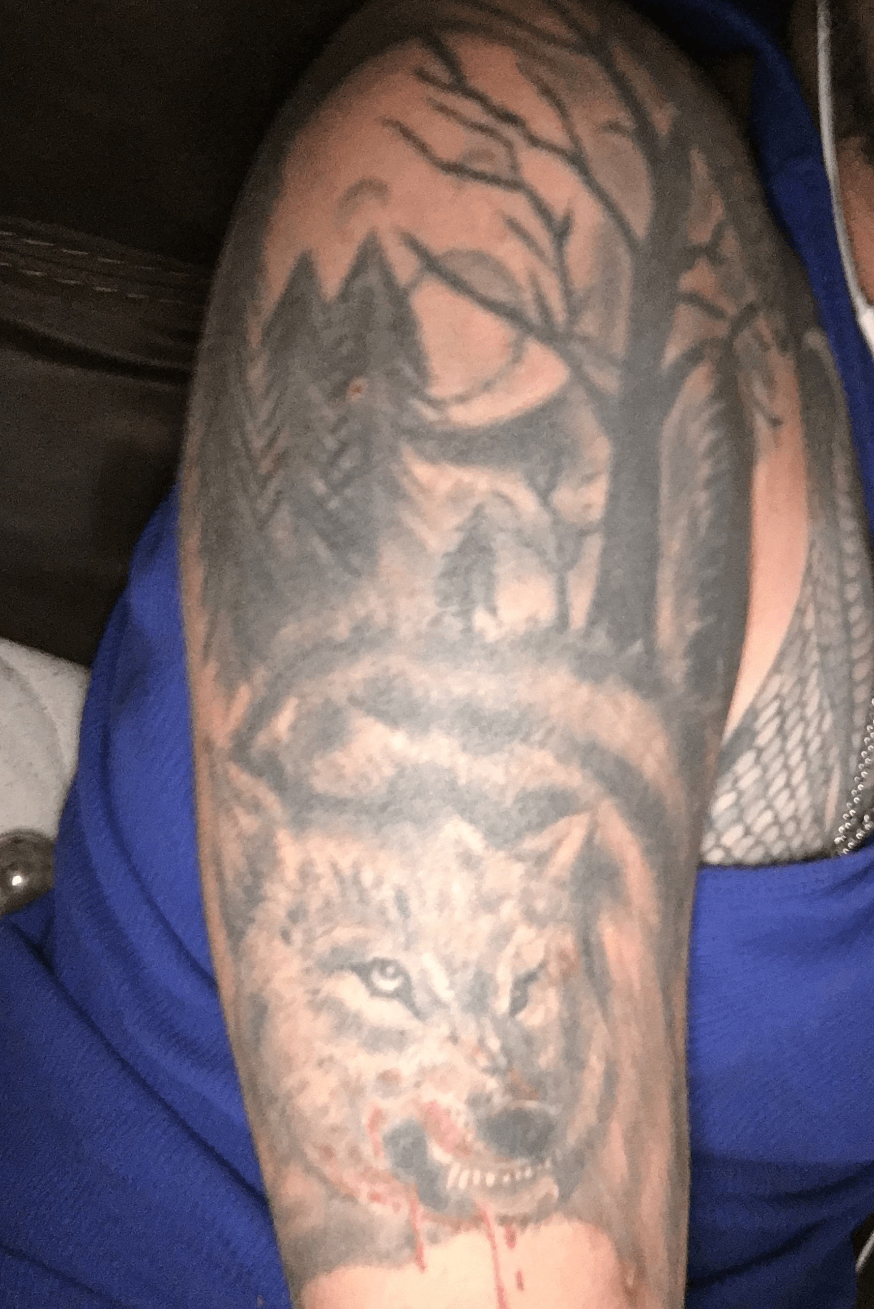 Tattoo uploaded by Josh Usher  Wolf moon and trees  Tattoodo