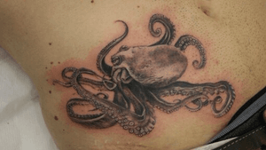 Octopuss black and grey 