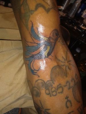 My lil bird i did on my arm once again working on what colors work best for my pigment and man that yellow was tough... Comment and like... Leave feedback....