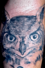 Owl portrait done with Eternal Inks