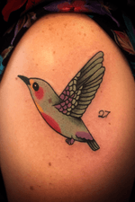 Colorful Hummingbird on the Shoulder