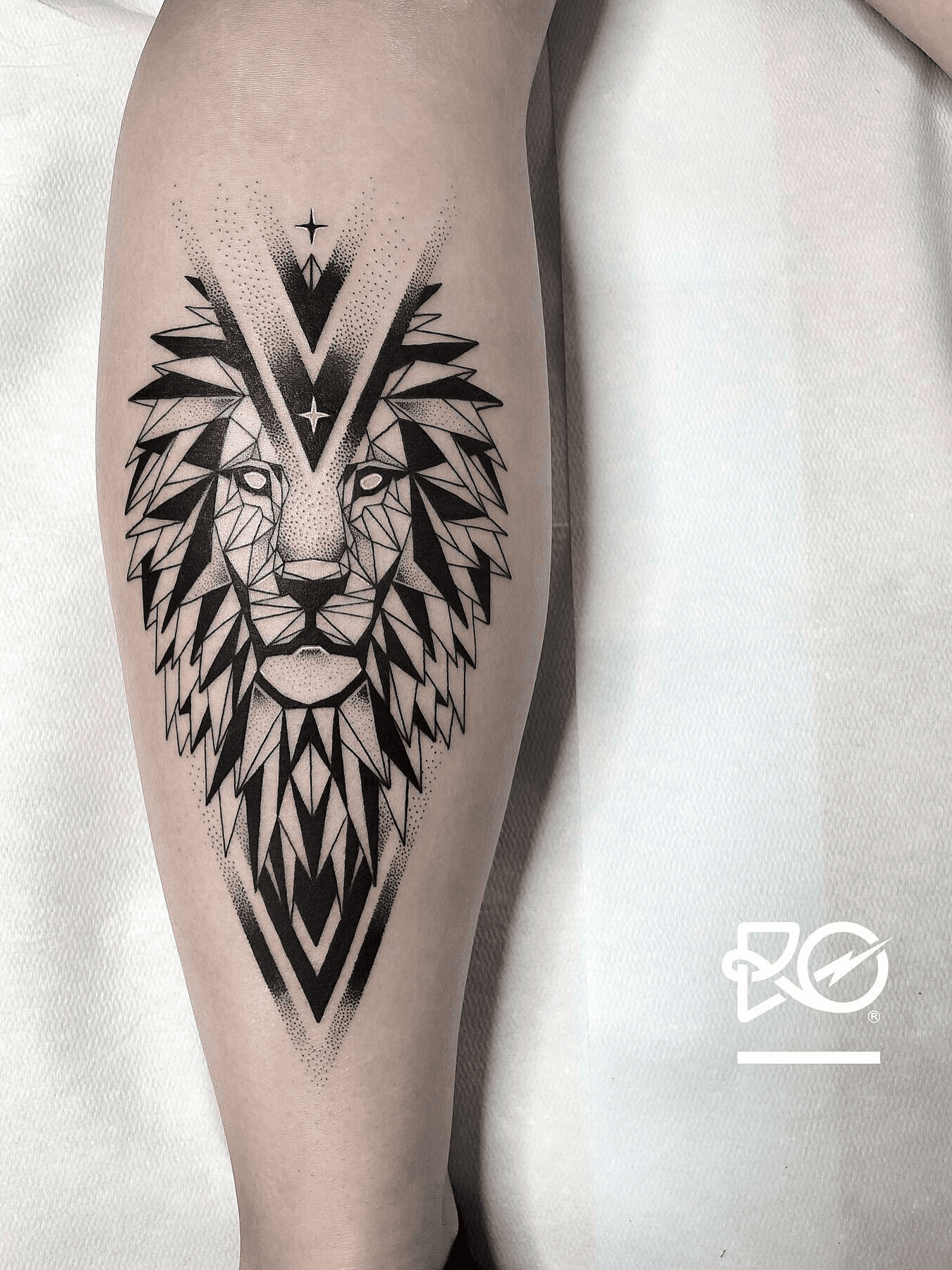 Top 21 Geometric Lion Tattoo Designs  PetPress