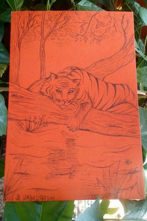 Tiger - #drawing #tigerdraw #animals 