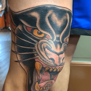 Panther on knee