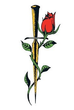 A rose beyond a slit #rose #sword 