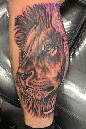 Lion (In Progress)
