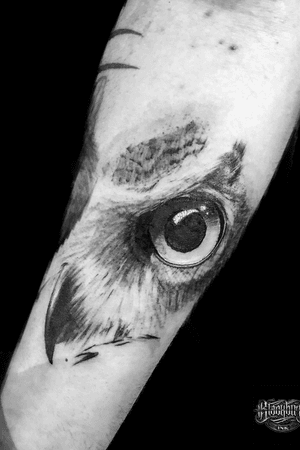 Owl realism