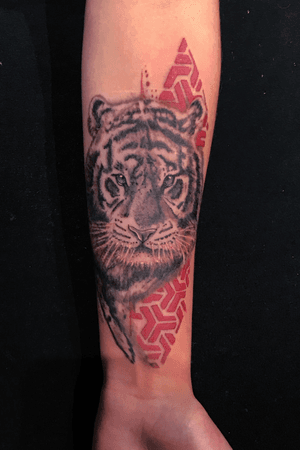 Always fun playing with animal portraits ! Tiger done today for @katchina.armstrong .#rashatattoo #trashpolkatattoo #tigertattoo #tiger #cattattoo #tattoorealistic #bng #penticton #pentictontattoo #pentictonartist #okanagan #okanagantattoo #okanagantattoos #okanaganlifestyle 
