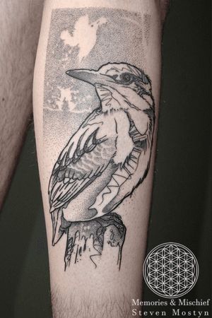 Dotwork sketchy kingfisher. Designed and tattooed by Steven Mostyn.