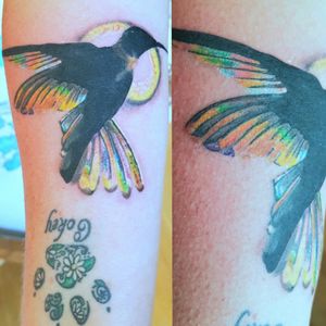 Hummingbird Tattoo Based on a photograph of the prism effect created by sunlight shining through a Jacobin Hummingbird's wings. #Hummingbird #HummingbirdTattoo #Bird #BirdTattoo #Birds #Multicoloured #ColourfulTattoo #NatureTattoo #AnimalTattoo 