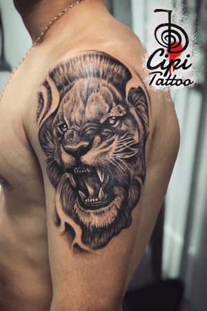 ⚜️Cipi Tattoo📣📲 +37369683935 📩🔝 #CipiTattoo #Cipiink #inked #tattoochisinau #tattooideas #tattoos #tattoo #тату #tatuaje #lion #liontattoo 