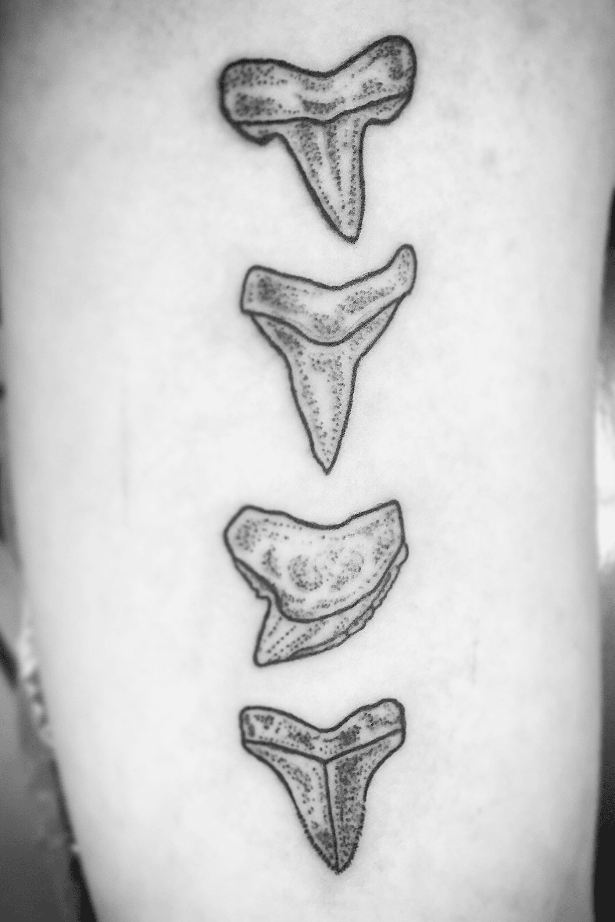 Small shark tooth tattoo  Bunker Tattoo  Quality tattoos