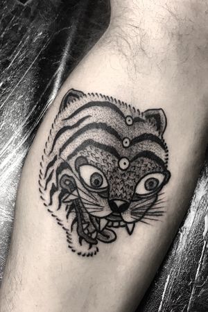 Korean tiger flash 