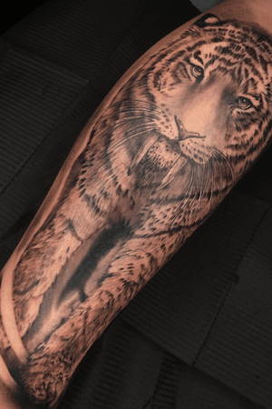Dientes de sable...#inked #tigertattoo #art #nature #animals #tigerbeer #photography #tigershroff #love #wildlife #tigereye #tattoos #ink #tigereyes #tigershark #tigerpride #animal #bigcats #tigerstyle #tiger #cats #drawing #tigercat #tigerstripes #tigertiger #tigers #tattoo #tigernation #wild #cat 