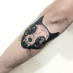 Skull cat. #craneo #gato #cat #skullcat #blackwork #tatuaje #CDMXtattoo #tatuadorasmexicanas #tatuajesdegatos #tattolcat 