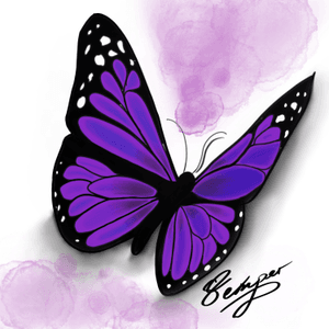 Butterfly by Semper. #butterfly  #butterflytattoo #mariposa #blackandgrey  #blackwork #Semper #mandalatattoostudio 