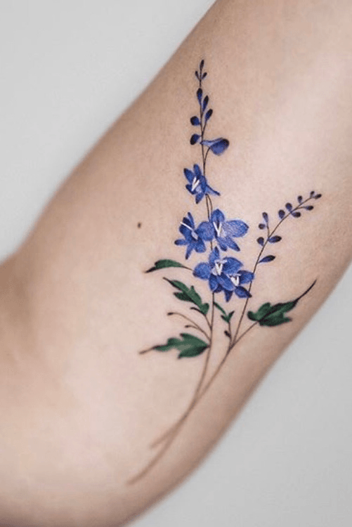 Watercolor tattoo larkspur  Larkspur tattoo Beautiful flower tattoos  Neck tattoo