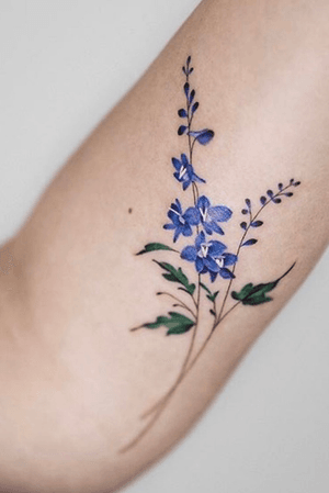 delphinium watercolor tattoo
