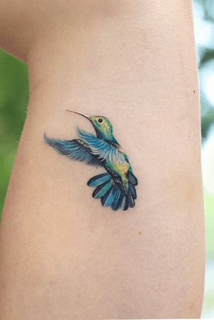 Watercolor hummingbird by @haenytattoo