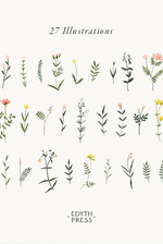 Delicate floral minimalist illustrations by Edith Press