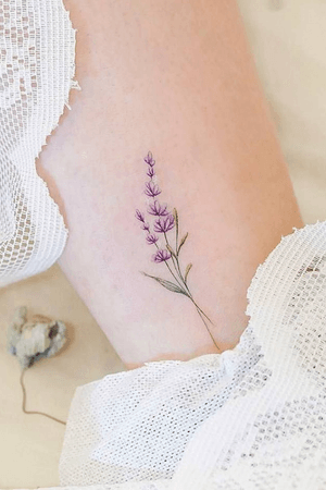 Delicate lavender sprig 