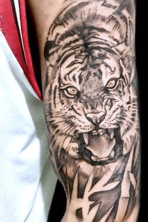 First session of this hungry tiger in black and grey using bishop rotary and fusion ink greywash set 