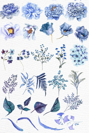 Blue floral watercolors 