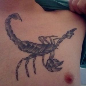 Signe scorpion 