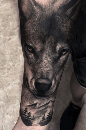 •The Big Bad Wolf•.Me quedan pocas citas disponibles esta semana para más trabajos así 🔥Enviame un DM con tus ideas o reserva tu cita directamente al whatsapp +34643034015...#tattoo #tattooed #realistictattoos #wolf #animals #wolftattoo #blackandgreytattoos #tattooideas #tattoodesign #ink #inked #españa #spain #tenerife #canarias #madrid #barcelona 
