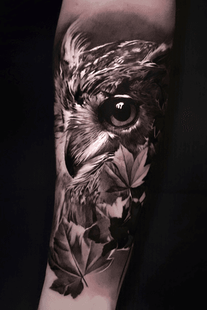 •Owl•