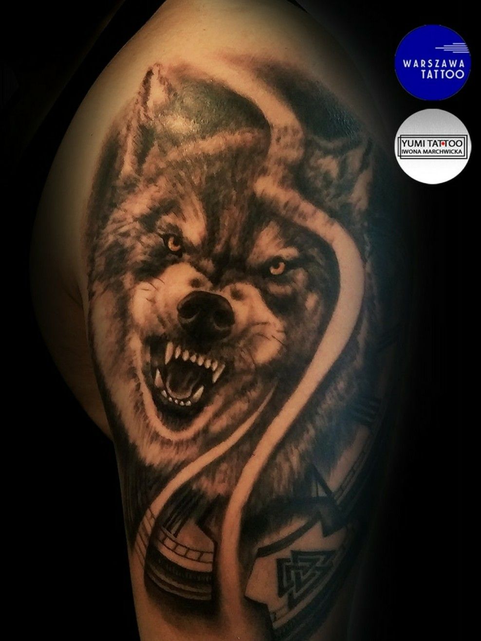 100 Background Of Angry Wolf Tattoo Design Illustrations RoyaltyFree  Vector Graphics  Clip Art  iStock