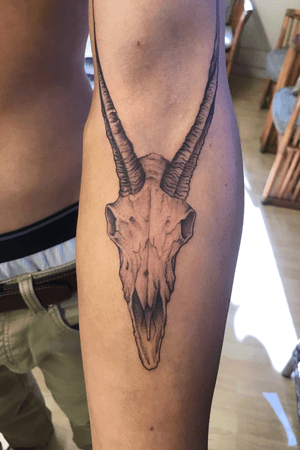 goatskull' in Tattoos • Search in + Tattoos Now • Tattoodo