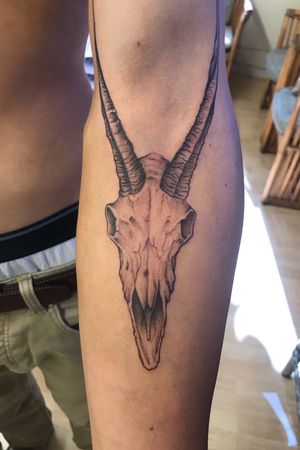 Goatskull #goatskull #ramskull #skulltattoo #tattoo #blackandgrey