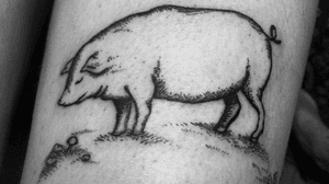 Truffle pig for Tanya! 🐖 Thank you so much! #pigtattoo #pig #truffle #mushroom #illustrativetattoo #illustrative #linework #animaltattoo #animal #nature 