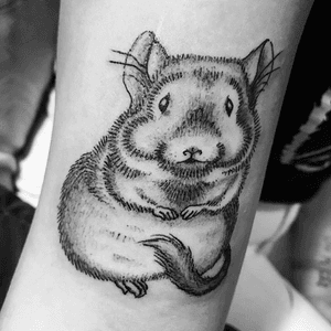Chinchilla tattoo for Gabby. 😸 Thank you! #chinchillatattoo #chinchilla #illustrativetattoo #illustrative #linework #animaltattoo #petportrait #cutetattoo 