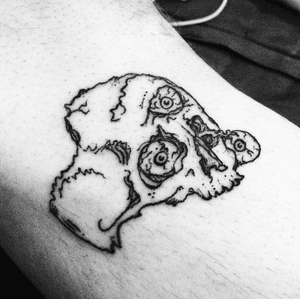 Skull tattoo for Mike. Thank you! #illustrativetattoo #illustrative #skulltattoo #skull #thirdeye #death #linework 