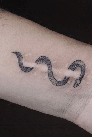 #snake #scar