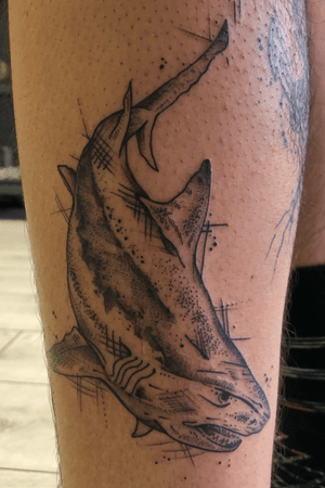 Shark done by Roxy from Sally Mustang in Cape Town 
